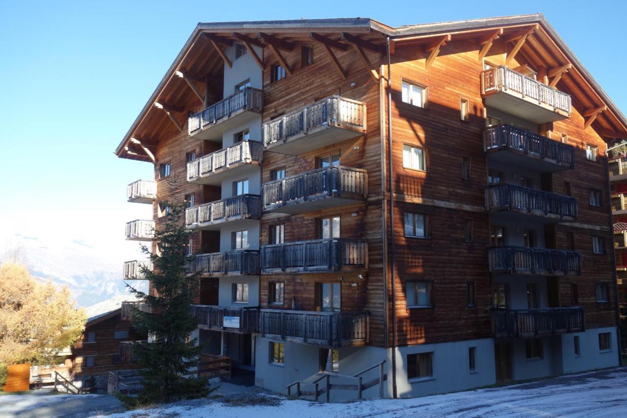 Pracondu Outdoor & Fun Appartement 1 Chambre Avec Balcon By Alpvision Residences Nendaz Exterior foto