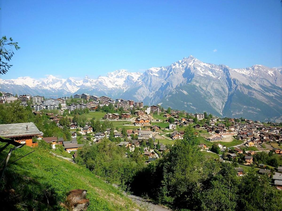 Pracondu Outdoor & Fun Appartement 1 Chambre Avec Balcon By Alpvision Residences Nendaz Exterior foto